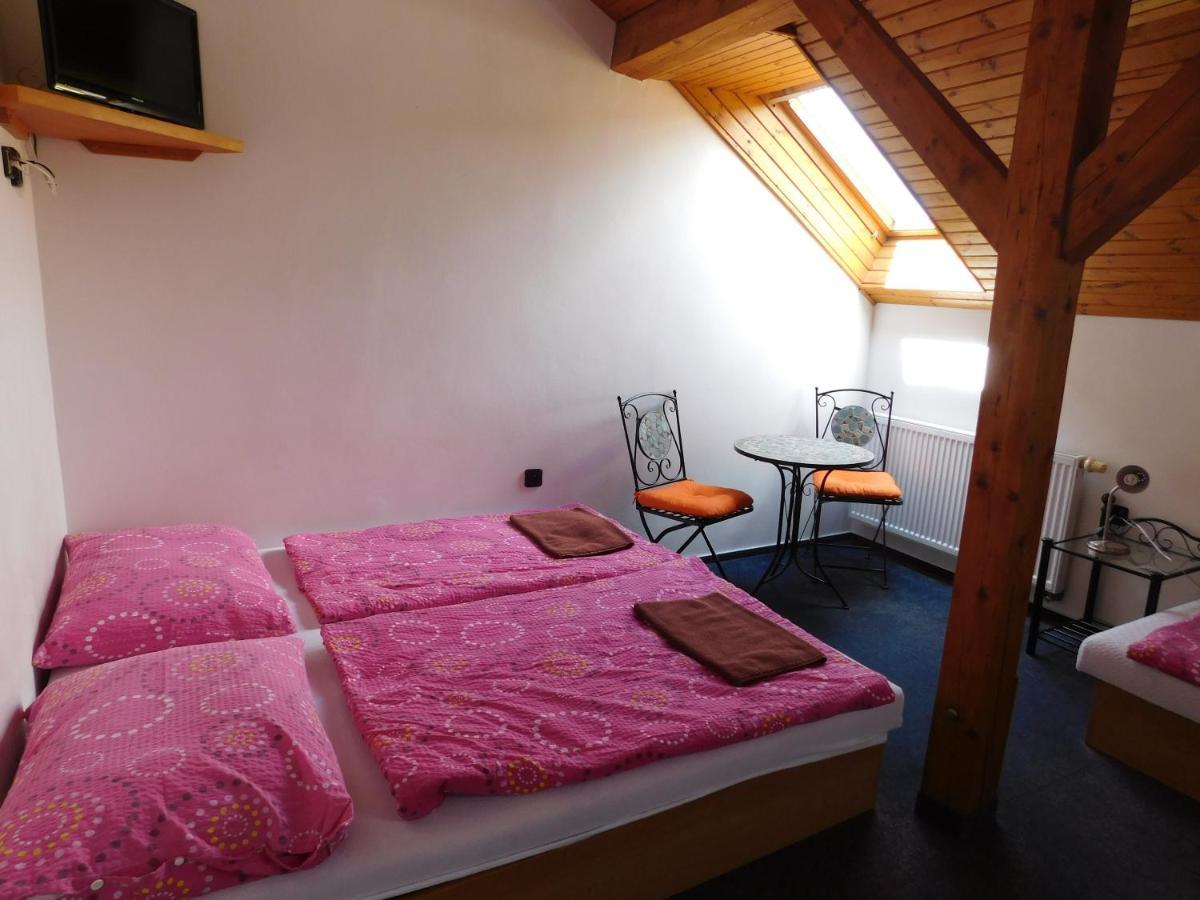 Pension U Mojmíra Rokytnice nad Jizerou Exteriér fotografie